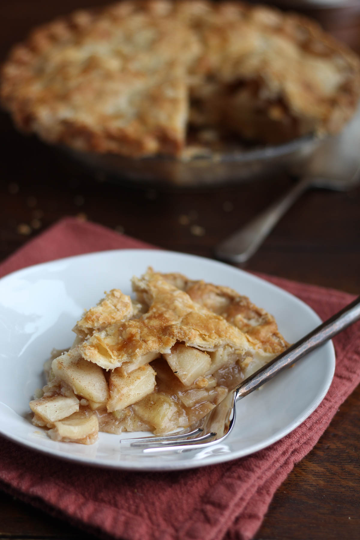 Mom's Easy Apple Pie - The Seasoned Mom